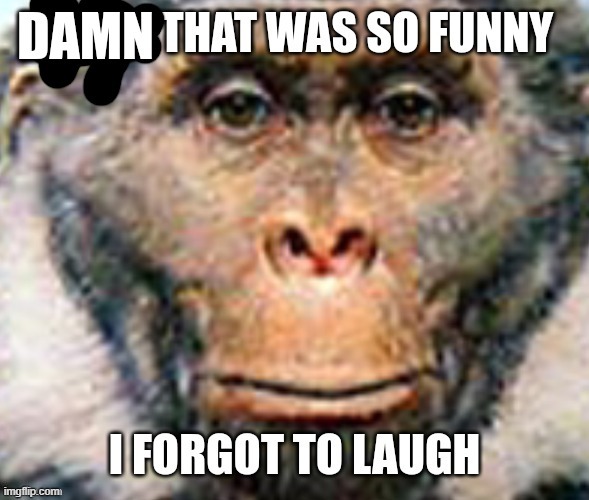 Damn that was so funny I forgot to laugh | image tagged in damn that was so funny i forgot to laugh | made w/ Imgflip meme maker