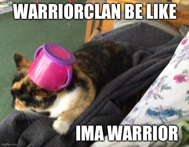 Warrior cat Warrior hat | WARRIORCLAN BE LIKE; IMA WARRIOR | image tagged in warrior cats | made w/ Imgflip meme maker