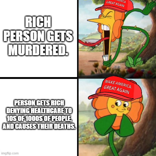 Cuphead Flower | RICH PERSON GETS MURDERED. PERSON GETS RICH DENYING HEALTHCARE TO 10S OF 1000S OF PEOPLE, AND CAUSES THEIR DEATHS. | image tagged in cuphead flower,maga | made w/ Imgflip meme maker