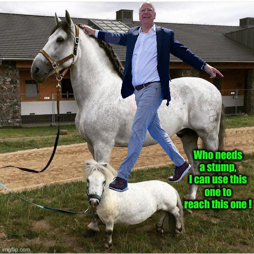 AWOL Tim ? Check The Stables | Who needs a stump, I can use this one to reach this one ! | image tagged in horse and pony,politics,political meme,funny memes,funny | made w/ Imgflip meme maker