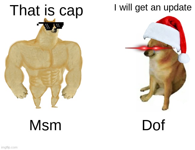 No updates? | That is cap; I will get an update; Msm; Dof | image tagged in memes,buff doge vs cheems | made w/ Imgflip meme maker