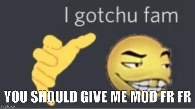 I gotchu fam | YOU SHOULD GIVE ME MOD FR FR | image tagged in i gotchu fam | made w/ Imgflip meme maker