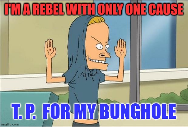 Rebel with a cause | I'M A REBEL WITH ONLY ONE CAUSE; T. P.  FOR MY BUNGHOLE | image tagged in beavis cornholio,funny memes | made w/ Imgflip meme maker