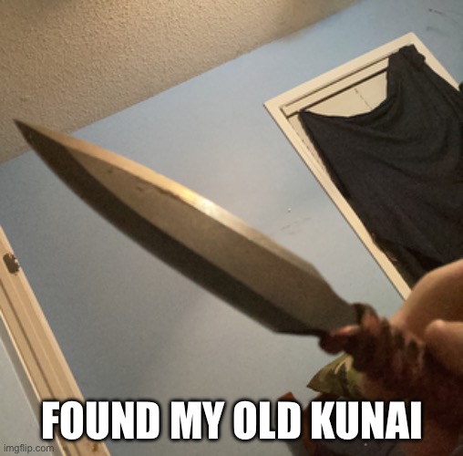 W find | FOUND MY OLD KUNAI | image tagged in good find | made w/ Imgflip meme maker