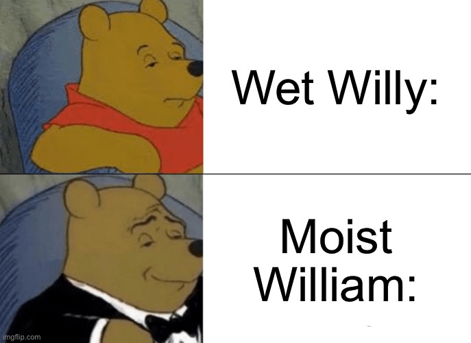 Tuxedo Winnie The Pooh Meme | Wet Willy:; Moist William: | image tagged in memes,tuxedo winnie the pooh | made w/ Imgflip meme maker