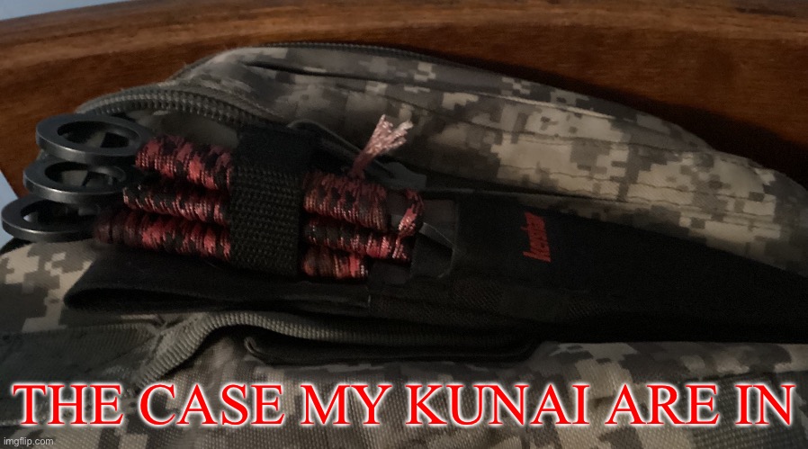 Cool huh? | THE CASE MY KUNAI ARE IN | image tagged in w ngl | made w/ Imgflip meme maker