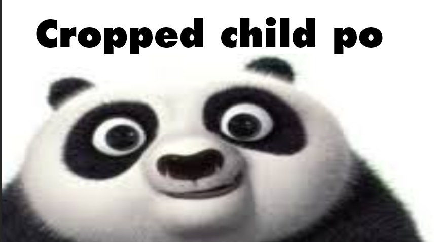 High Quality Cropped child po Blank Meme Template