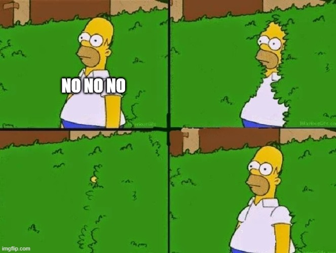 HOMER BUSH | NO NO NO | image tagged in homer bush | made w/ Imgflip meme maker