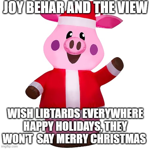 Joy Behar of The View | JOY BEHAR AND THE VIEW; WISH LIBTARDS EVERYWHERE HAPPY HOLIDAYS, THEY WON'T  SAY MERRY CHRISTMAS | image tagged in joy behar of the view | made w/ Imgflip meme maker