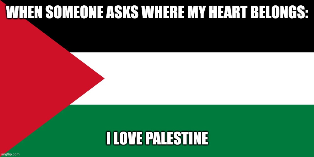 I love palestine | WHEN SOMEONE ASKS WHERE MY HEART BELONGS:; I LOVE PALESTINE | image tagged in palestine | made w/ Imgflip meme maker