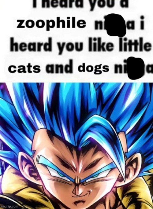 I heard you a zoophile | image tagged in i heard you a zoophile | made w/ Imgflip meme maker