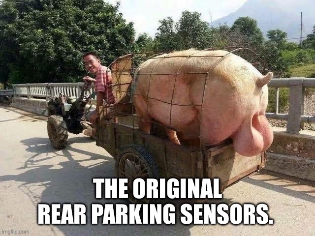 EV rear parking sensors | THE ORIGINAL REAR PARKING SENSORS. | image tagged in electric,balls,alarm,testicles,driving,accident | made w/ Imgflip meme maker