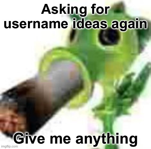 Asking for username ideas again | Asking for username ideas again; Give me anything | image tagged in high peashooter,msmg | made w/ Imgflip meme maker