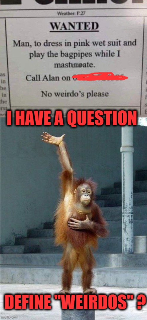weirdo? | I HAVE A QUESTION; DEFINE "WEIRDOS" ? | image tagged in monkey raising hand | made w/ Imgflip meme maker