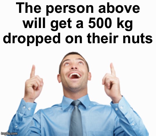 Pointing Up | The person above will get a 500 kg dropped on their nuts | image tagged in pointing up,msmg | made w/ Imgflip meme maker