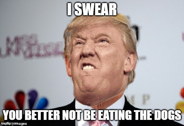 Trump | I SWEAR; YOU BETTER NOT BE EATING THE DOGS | image tagged in trumphead approves | made w/ Imgflip meme maker