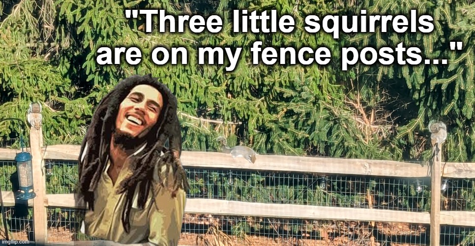 Marley & Me | "Three little squirrels
are on my fence posts..." | image tagged in bob marley,squirrel,squirrels,music,outdoors | made w/ Imgflip meme maker