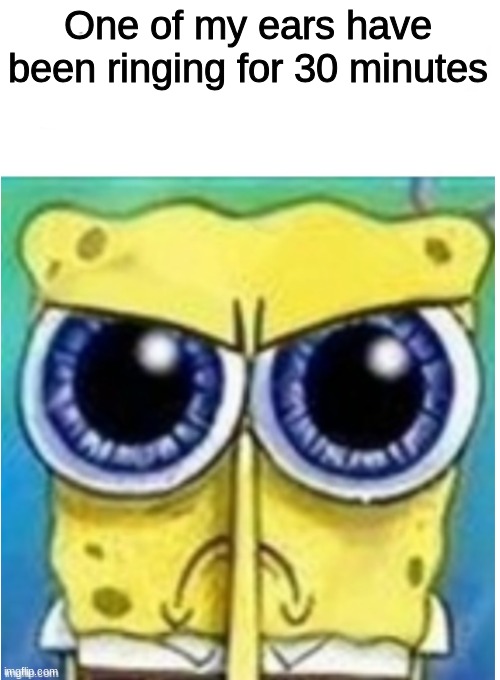 Angry spongebob blank | One of my ears have been ringing for 30 minutes | image tagged in angry spongebob blank | made w/ Imgflip meme maker