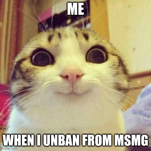 Smiling Cat | ME; WHEN I UNBAN FROM MSMG | image tagged in memes,smiling cat | made w/ Imgflip meme maker