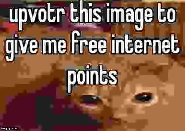 free internet points | image tagged in free internet points | made w/ Imgflip meme maker