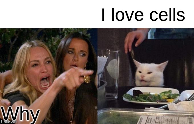 Woman Yelling At Cat Meme | I love cells; Why | image tagged in memes,woman yelling at cat | made w/ Imgflip meme maker
