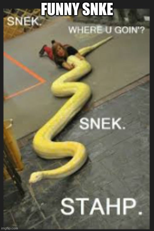 funny snek | FUNNY SNKE | image tagged in funny snek | made w/ Imgflip meme maker