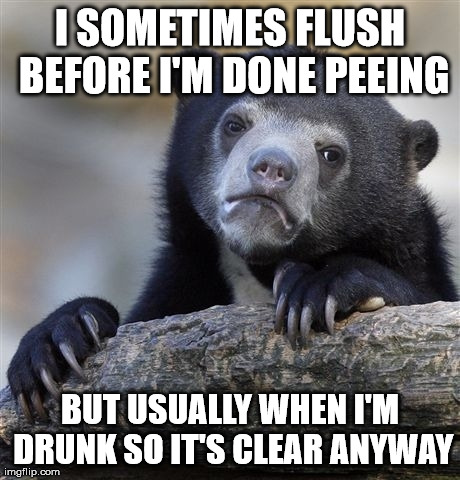 Confession Bear | I SOMETIMES FLUSH BEFORE I'M DONE PEEING BUT USUALLY WHEN I'M DRUNK SO IT'S CLEAR ANYWAY | image tagged in memes,confession bear,AdviceAnimals | made w/ Imgflip meme maker