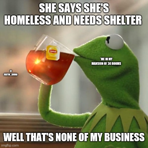 But That's None Of My Business Meme | SHE SAYS SHE'S HOMELESS AND NEEDS SHELTER; *ME IN MY MANSION OF 30 ROOMS; @ JUSTIN_CHIDO; WELL THAT'S NONE OF MY BUSINESS | image tagged in memes,but that's none of my business,kermit the frog | made w/ Imgflip meme maker