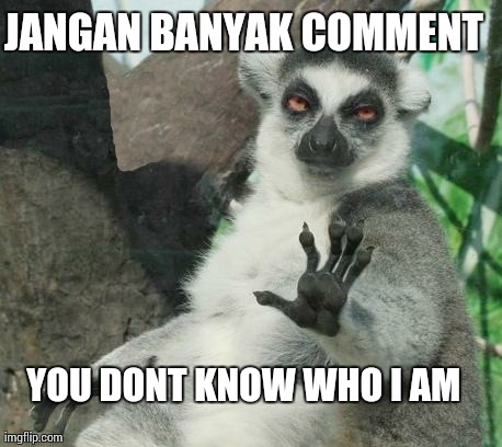 Stoner Lemur | JANGAN BANYAK COMMENT YOU DONT KNOW WHO I AM | image tagged in memes,stoner lemur | made w/ Imgflip meme maker