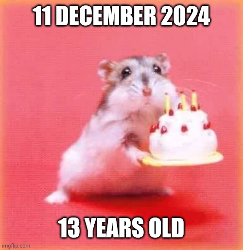 My birthday | 11 DECEMBER 2024; 13 YEARS OLD | image tagged in birthday hamster | made w/ Imgflip meme maker