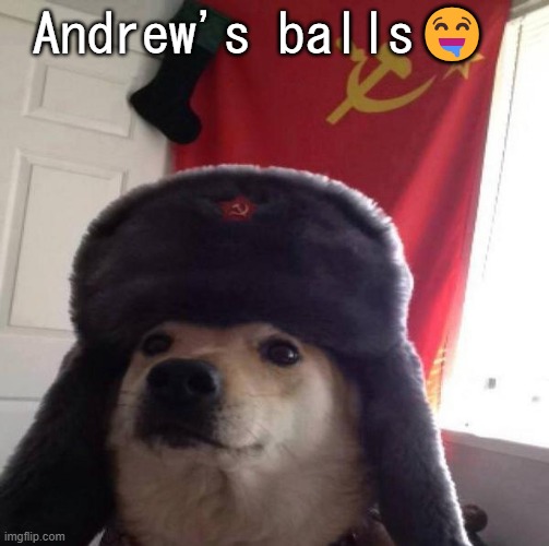 Evil_Neko temp | Andrew's balls🤤 | image tagged in evil_neko temp | made w/ Imgflip meme maker