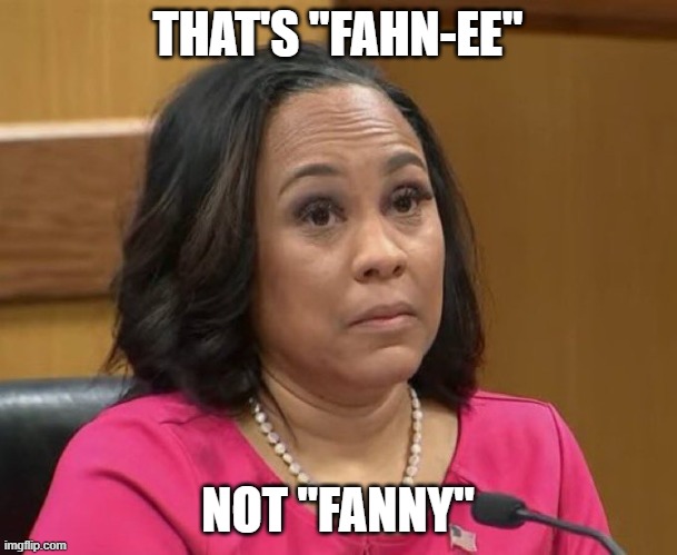 Fani Willis eyebrows | THAT'S "FAHN-EE" NOT "FANNY" | image tagged in fani willis eyebrows | made w/ Imgflip meme maker