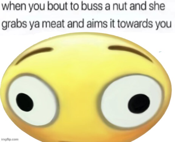 fr | image tagged in buss a nut blank | made w/ Imgflip meme maker