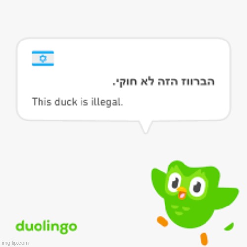 Duolingo two | made w/ Imgflip meme maker