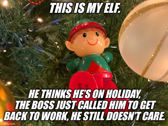 I dream of jizzmas every November and December | THIS IS MY ELF. HE THINKS HE’S ON HOLIDAY, THE BOSS JUST CALLED HIM TO GET BACK TO WORK, HE STILL DOESN’T CARE. | image tagged in jizzmas | made w/ Imgflip meme maker