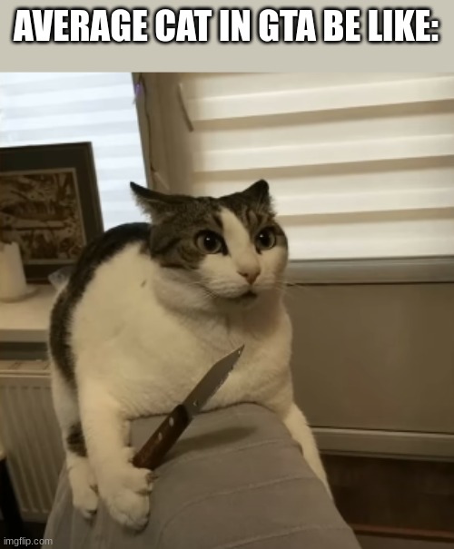 Cat with a knife | AVERAGE CAT IN GTA BE LIKE: | image tagged in cat with a knife | made w/ Imgflip meme maker