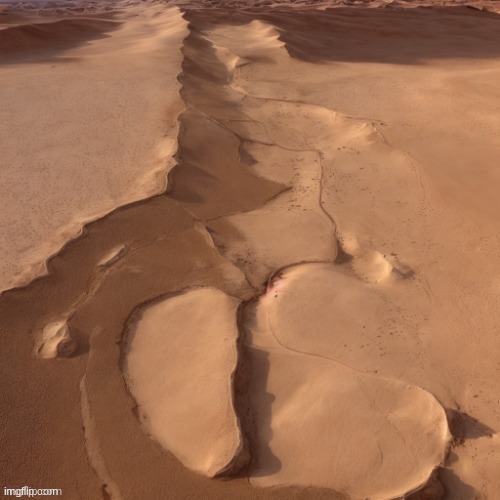 I love the desert | image tagged in dont think it dont say it | made w/ Imgflip meme maker