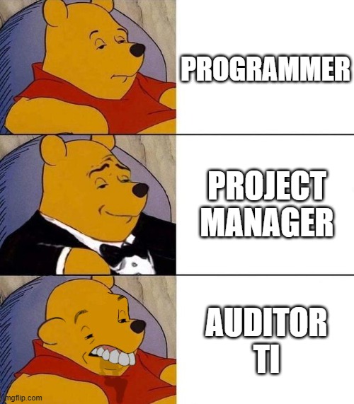 auditor ti | PROGRAMMER; PROJECT MANAGER; AUDITOR TI | image tagged in best better blurst | made w/ Imgflip meme maker