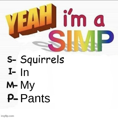 Yeah im a simp | Squirrels; In; My; Pants | image tagged in yeah im a simp | made w/ Imgflip meme maker