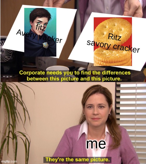 They're The Same Picture | fitz Avery vacker; Ritz savory cracker; me | image tagged in memes,they're the same picture | made w/ Imgflip meme maker