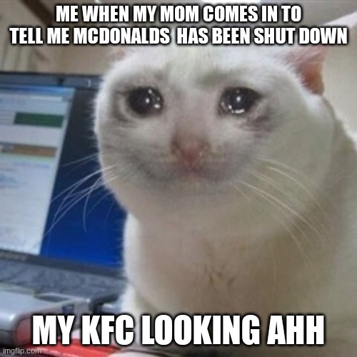 I hate mcdonalds | ME WHEN MY MOM COMES IN TO TELL ME MCDONALDS  HAS BEEN SHUT DOWN; MY KFC LOOKING AHH | image tagged in crying cat | made w/ Imgflip meme maker