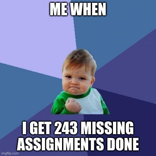 Success Kid | ME WHEN; I GET 243 MISSING ASSIGNMENTS DONE | image tagged in memes,success kid | made w/ Imgflip meme maker