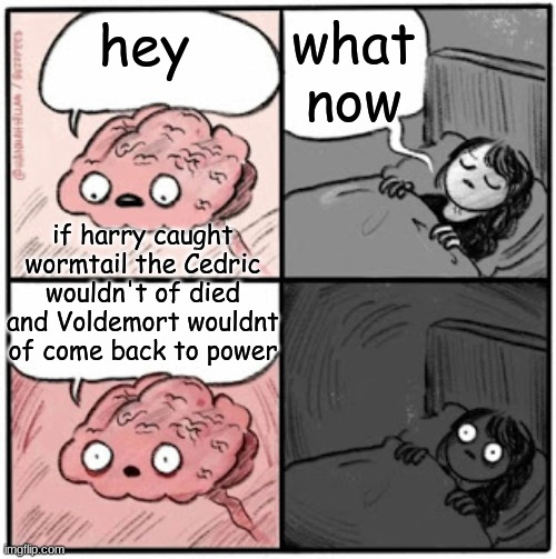 Brain Before Sleep | what now; hey; if harry caught wormtail the Cedric wouldn't of died and Voldemort wouldnt of come back to power | image tagged in brain before sleep | made w/ Imgflip meme maker