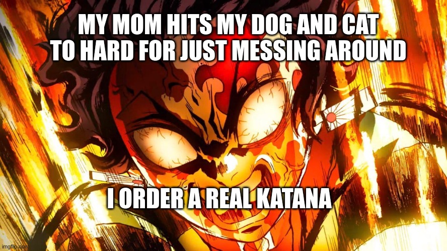 God mode tanjiro | MY MOM HITS MY DOG AND CAT TO HARD FOR JUST MESSING AROUND; I ORDER A REAL KATANA | image tagged in god mode tanjiro | made w/ Imgflip meme maker