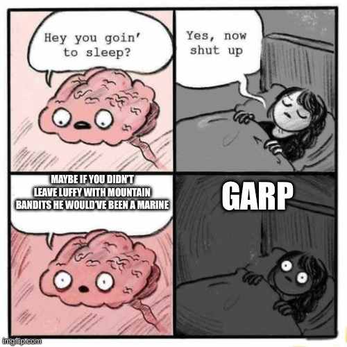 Hey you going to sleep? | GARP; MAYBE IF YOU DIDN’T LEAVE LUFFY WITH MOUNTAIN BANDITS HE WOULD’VE BEEN A MARINE | image tagged in hey you going to sleep | made w/ Imgflip meme maker