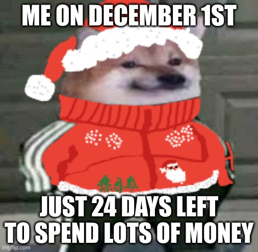 Christmas in a nutshell | ME ON DECEMBER 1ST; JUST 24 DAYS LEFT TO SPEND LOTS OF MONEY | image tagged in the chistmas doge | made w/ Imgflip meme maker