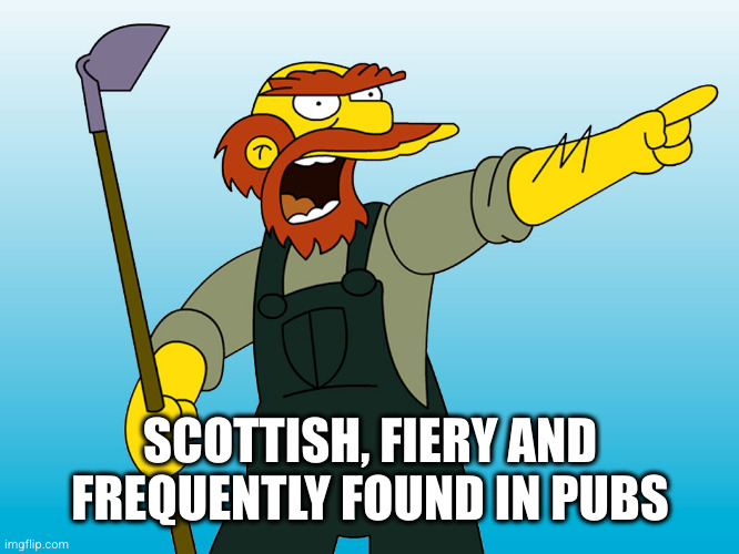 Groundskeeper Willie | SCOTTISH, FIERY AND FREQUENTLY FOUND IN PUBS | image tagged in groundskeeper willie | made w/ Imgflip meme maker