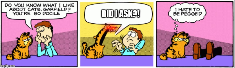 D I D  I  A S K ? | DID I ASK?! | image tagged in grumpy garfield | made w/ Imgflip meme maker