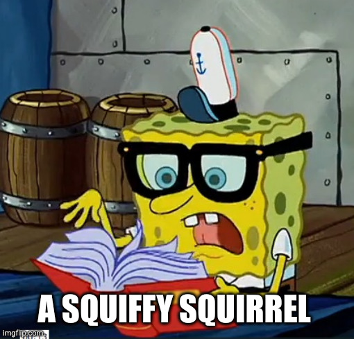 Spongebob Dictionary | A SQUIFFY SQUIRREL | image tagged in spongebob dictionary | made w/ Imgflip meme maker