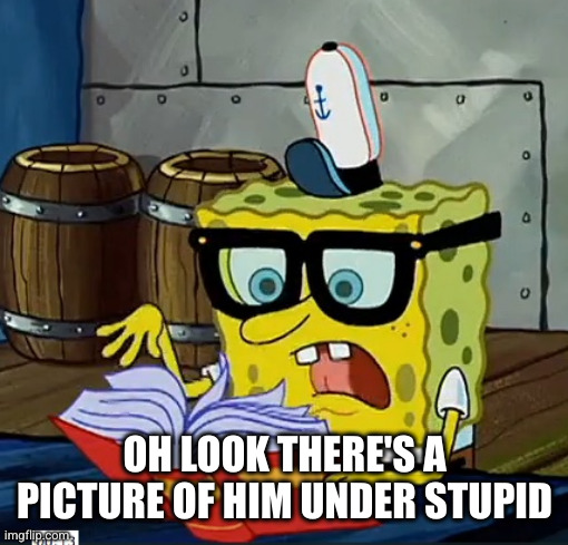 Spongebob Dictionary | OH LOOK THERE'S A PICTURE OF HIM UNDER STUPID | image tagged in spongebob dictionary | made w/ Imgflip meme maker